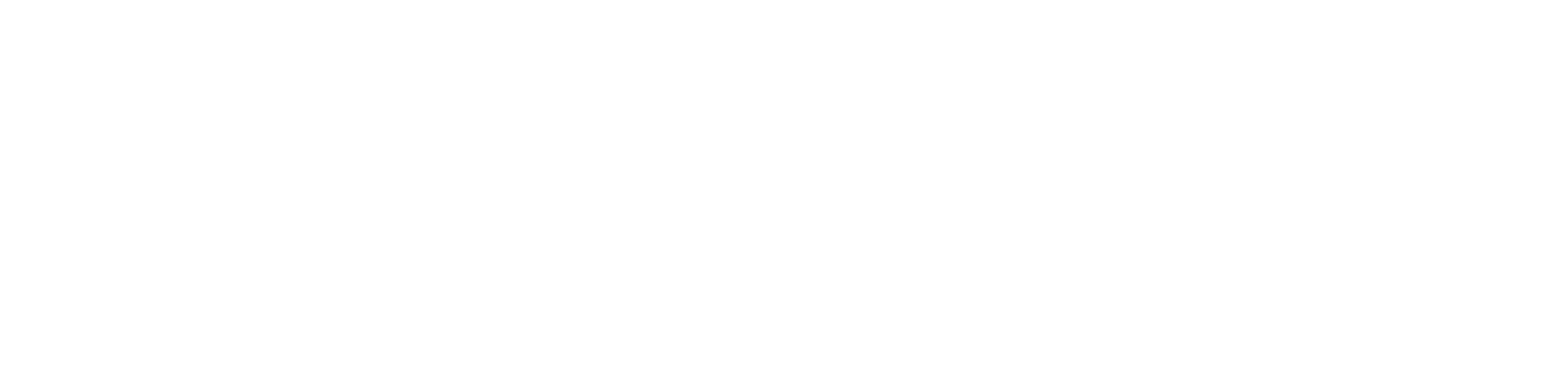 Finanziato dall'Unione Europea